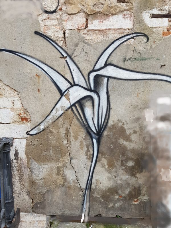 Lilie Graffiti