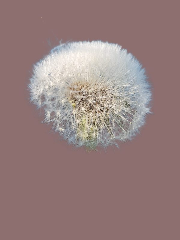 Puste©Juliette Bergmann