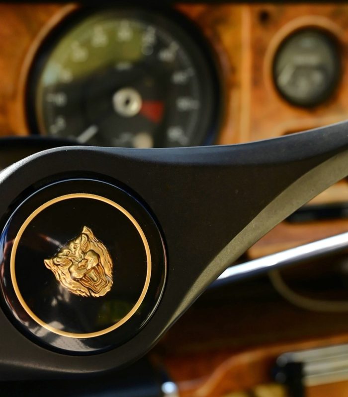 ©Juliette Bergmann Jaguarkopf_quer