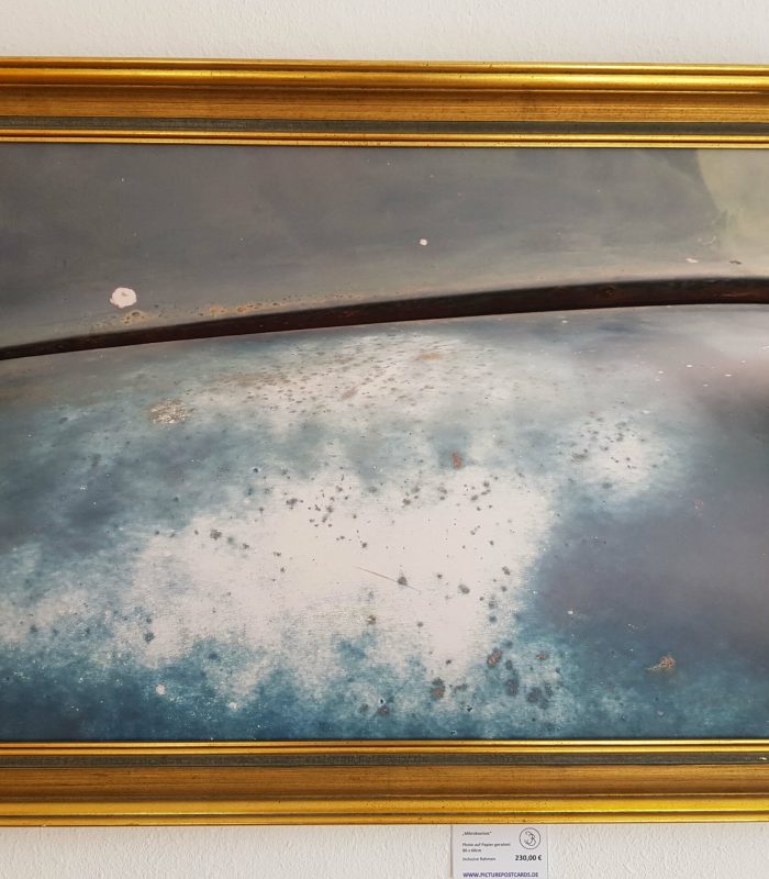 ©Juliette Bergmann Microkosmos Fotografie 80x60 gerahmt