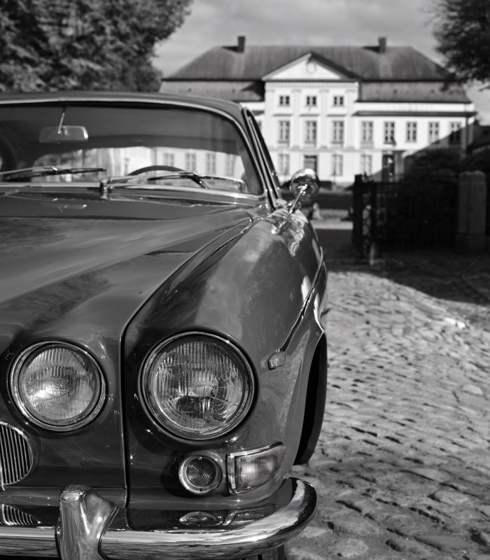 ©Juliette Bergmann SW Jaguar